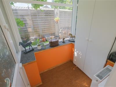 Picture 11